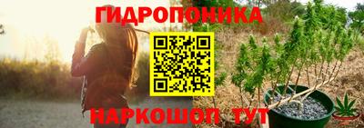 гидра Заводоуковск