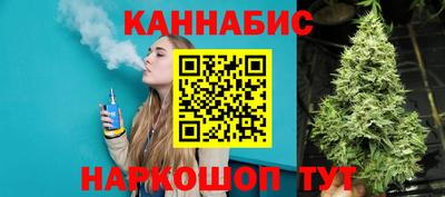 гидра Заводоуковск