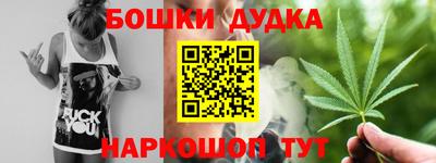 гидра Заводоуковск
