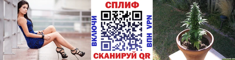 Каннабис индика Тихвин